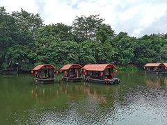 -侨美·唐荔园·40年地道粤菜