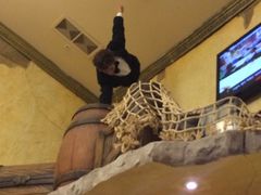 -信不信由你博物馆