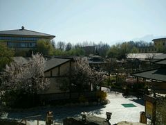 -华山御温泉度假村