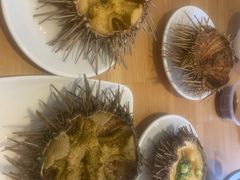 -海胆小馆(东北水饺·春柳店)