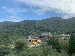 -树山生态村