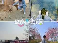 -盈香心动乐园