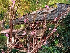 -桃花涧