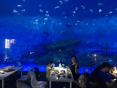 -烟台海昌鲸鲨海洋公园