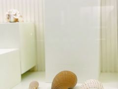 -青岛贝壳博物馆