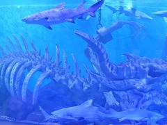 -波塞冬海底世界