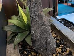 -蜀厨小匠·民间川菜(犀浦店)