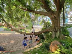 -成都市活水公园