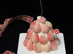 -花花卷卷·鲜食蛋糕(静安久光百货店)