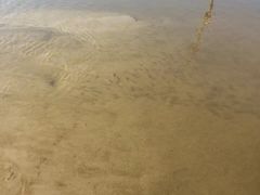 -鄱阳湖国家湿地公园