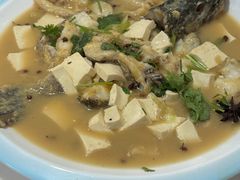 -煲来饱去冷水鱼