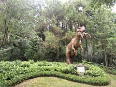 -佛冈森波拉度假区