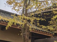 -青城山六善酒店·紫氣園中餐厅