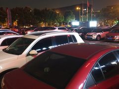 -维也纳国际酒店·上海虹桥火车站国家会展中心店