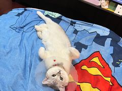 -北京恒爱动物医院(清景园分院)