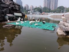 -团结湖公园