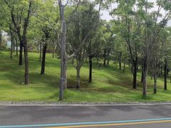 -牛岗山公园