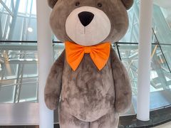 -济州岛泰迪熊博物馆