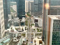 -广州奥园喜来登酒店