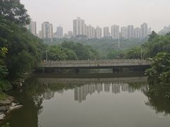 -龙头寺公园