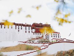 -宗角禄康公园