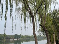 -西安汉城湖景区