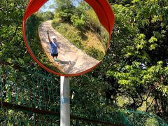 -梧桐山风景名胜区