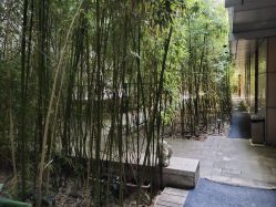 -北京英煌医疗美容