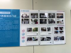 -北京观赏动物医院·24小时大型综合·猫专科·异宠专科