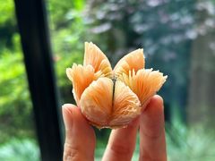 -浙江西子宾馆·牡丹厅
