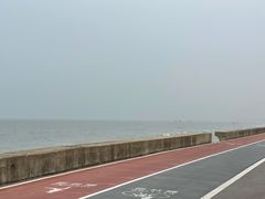 -日照海滨国家森林公园
