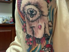 -彩虹桥宠物火化殡葬善终服务(金乐大厦店)