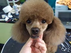 -美联众合动物医院(唯恩分院)