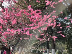 -白塘生态植物园