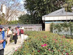 -人民公园(罗湖区)