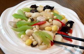 Ginkgo Stir-Fry Supreme