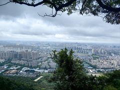 -惠山国家森林公园