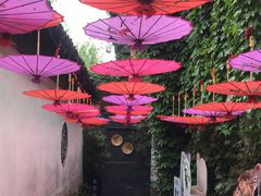 -鱼食饭稻·苏浙土菜17年老馆子(平江路店)