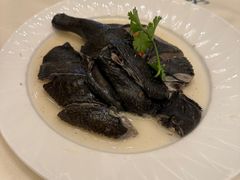 药膳鸡-沙龙酒家