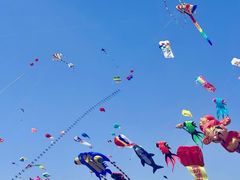 -潍坊滨海云门国际风筝放飞场