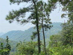 -大雁山风景区