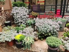 -山菌美食苑(振兴路店)