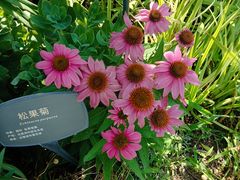 -国家植物园