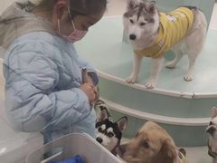 -怪兽屋·羊驼·猫咖·狗咖(俊华广场店)