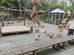 -千岛湖东南湖区