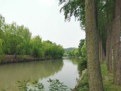 -上海月湖雕塑公园