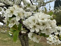 -名花谷生态庄园