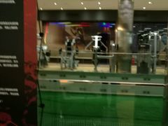 -威尔仕健身(金茂店)