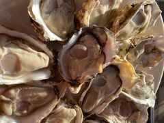 -千岛蚝高压锅生蚝·人参火锅(白云万达店)