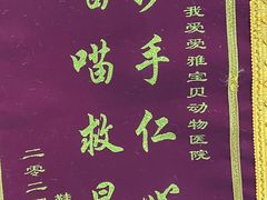 -中农大我爱我爱24h动物医院·中医针灸·猫专科·骨科医疗中心(双井店)